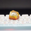 Fuji Keycap 1