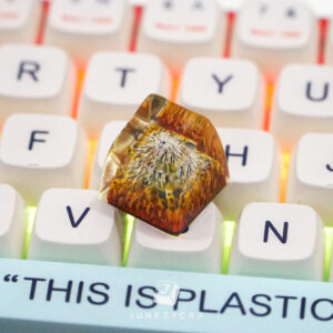 Fuji Keycap 2