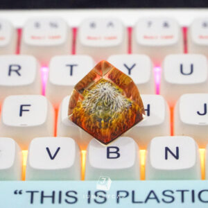 Fuji Keycap 3