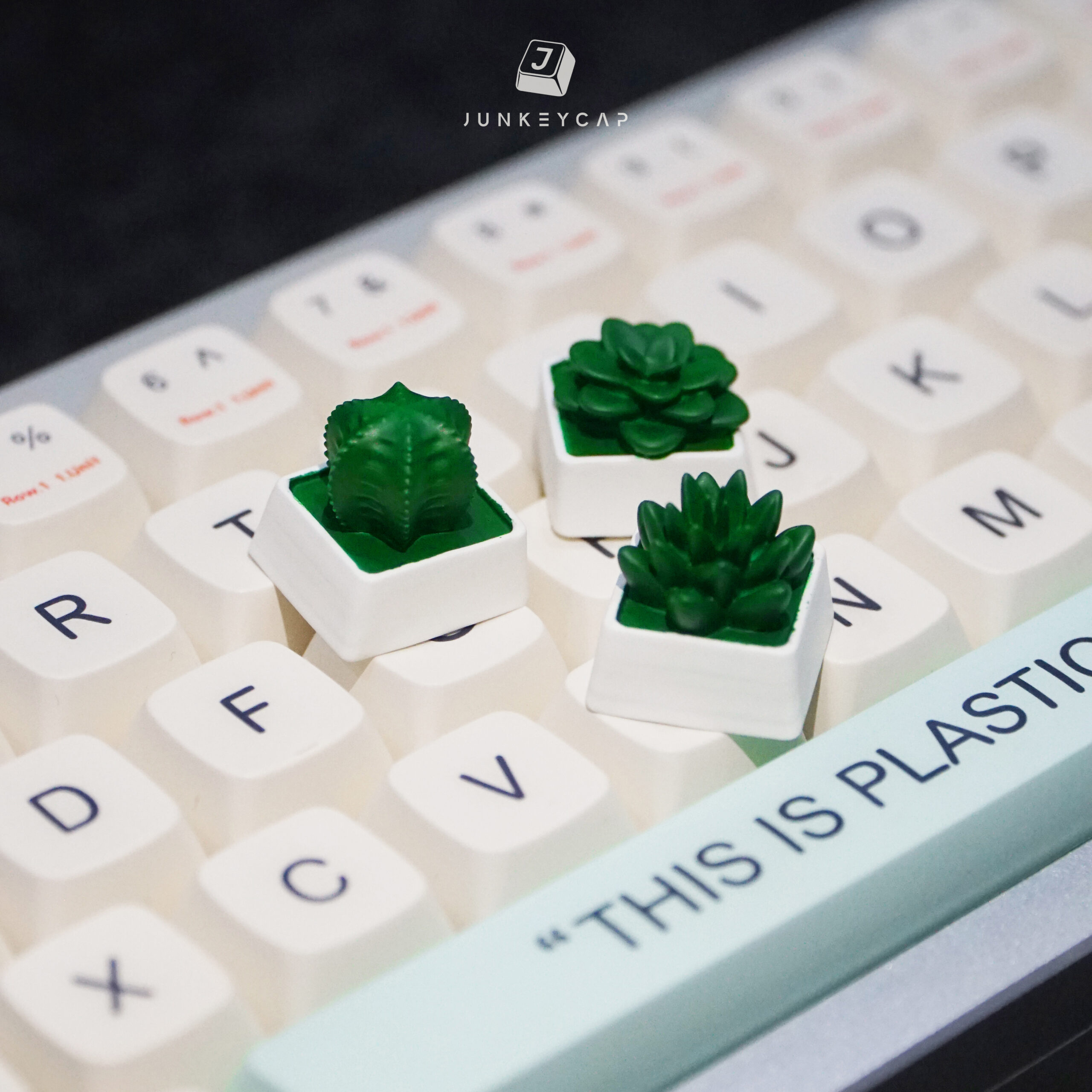 Succulent Keycap 4
